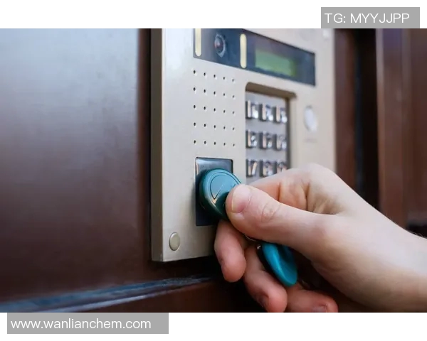 游泳运动的历史演变与现代化发展趋势探讨