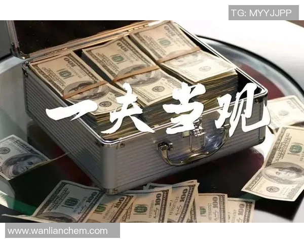 评论风云：聚焦热点，解码观点