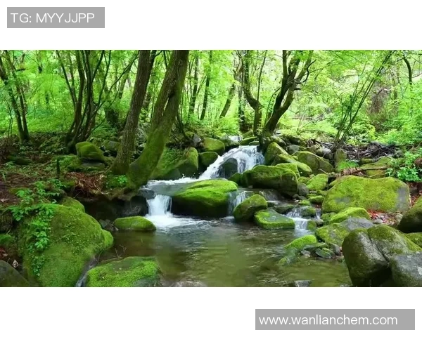 亲近自然,挑战极限,探索未知畅享多元户外活动带来的无限乐趣 亲近自然,挑战极限,探索未知畅享多元户外活动带来的无限乐趣