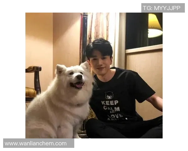 何炅与足球明星的友谊之路：从荧幕到绿茵场的精彩故事