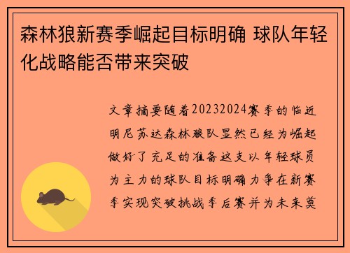 森林狼新赛季崛起目标明确 球队年轻化战略能否带来突破