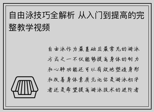 自由泳技巧全解析 从入门到提高的完整教学视频