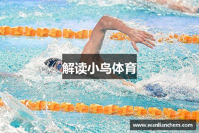 解读小鸟体育